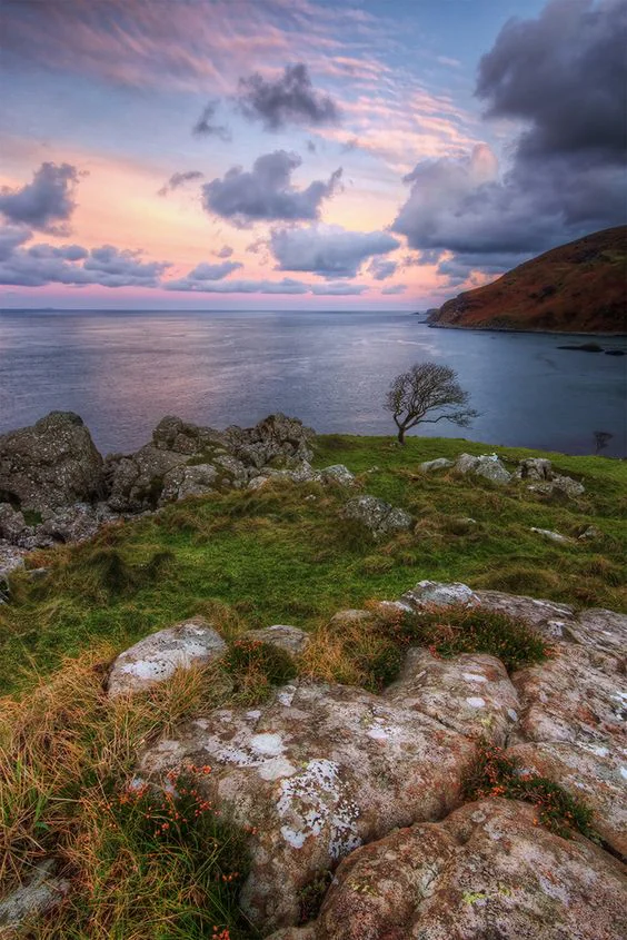 bay of skull 1