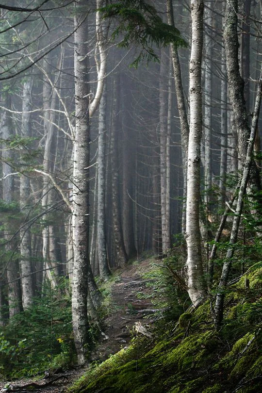 nordlands 2
